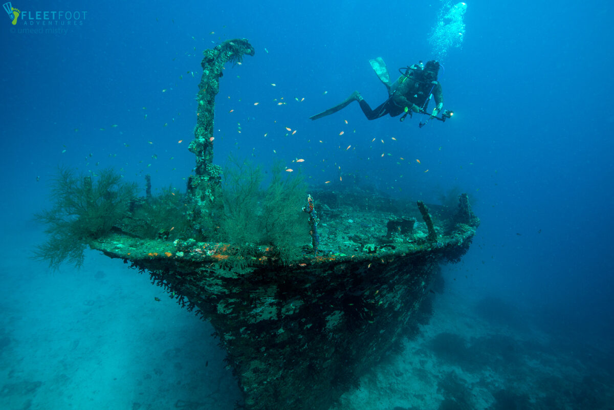 Underwater Enigmas: Our Top Dive Destinations | Saevus